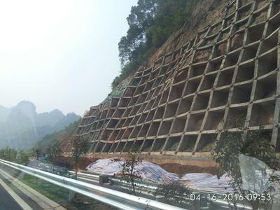 貴合高速浦北段